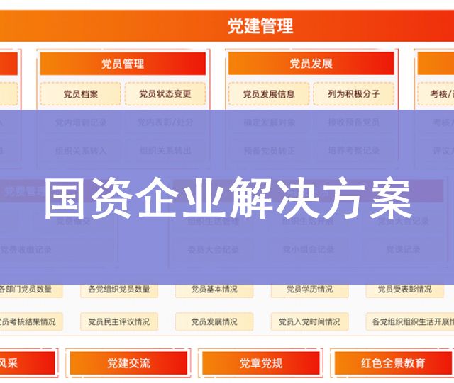 國資企業(yè)解決方案